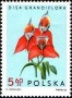 植物:欧洲:波兰:pl196508.jpg