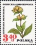 植物:欧洲:波兰:pl196703.jpg