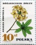 植物:欧洲:波兰:pl196706.jpg