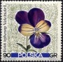 植物:欧洲:波兰:pl196710.jpg