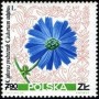 植物:欧洲:波兰:pl196715.jpg