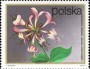 植物:欧洲:波兰:pl197203.jpg