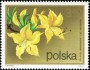 植物:欧洲:波兰:pl197206.jpg