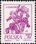 植物:欧洲:波兰:pl197401.jpg