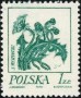 植物:欧洲:波兰:pl197402.jpg