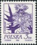 植物:欧洲:波兰:pl197404.jpg