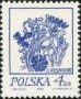 植物:欧洲:波兰:pl197405.jpg