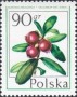 植物:欧洲:波兰:pl197702.jpg