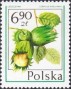 植物:欧洲:波兰:pl197708.jpg