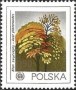 植物:欧洲:波兰:pl197801.jpg
