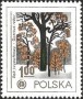植物:欧洲:波兰:pl197802.jpg