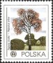 植物:欧洲:波兰:pl197803.jpg