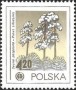 植物:欧洲:波兰:pl197804.jpg