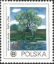 植物:欧洲:波兰:pl197805.jpg