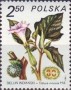 植物:欧洲:波兰:pl198002.jpg