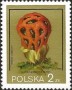 植物:欧洲:波兰:pl198007.jpg