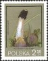 植物:欧洲:波兰:pl198010.jpg