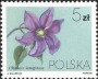植物:欧洲:波兰:pl198401.jpg