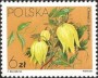 植物:欧洲:波兰:pl198402.jpg