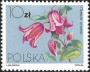 植物:欧洲:波兰:pl198403.jpg