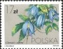 植物:欧洲:波兰:pl198404.jpg
