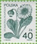 植物:欧洲:波兰:pl198901.jpg