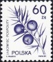 植物:欧洲:波兰:pl198902.jpg