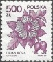 植物:欧洲:波兰:pl198904.jpg