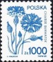 植物:欧洲:波兰:pl198905.jpg