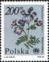植物:欧洲:波兰:pl199001.jpg