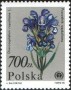 植物:欧洲:波兰:pl199002.jpg