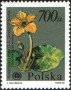 植物:欧洲:波兰:pl199003.jpg