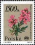植物:欧洲:波兰:pl199005.jpg