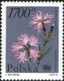 植物:欧洲:波兰:pl199006.jpg