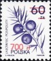 植物:欧洲:波兰:pl199007.jpg