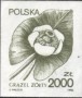 植物:欧洲:波兰:pl199008.jpg