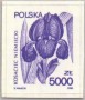 植物:欧洲:波兰:pl199009.jpg