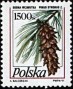植物:欧洲:波兰:pl199102.jpg