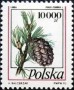 植物:欧洲:波兰:pl199301.jpg