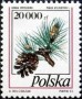 植物:欧洲:波兰:pl199302.jpg