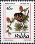 植物:欧洲:波兰:pl199501.jpg