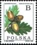 植物:欧洲:波兰:pl199503.jpg