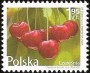 植物:欧洲:波兰:pl200901.jpg