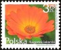 植物:欧洲:波兰:pl200902.jpg