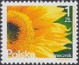 植物:欧洲:波兰:pl201501.jpg