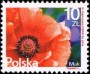 植物:欧洲:波兰:pl201602.jpg