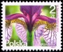 植物:欧洲:波兰:pl201605.jpg