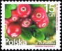 植物:欧洲:波兰:pl201606.jpg