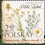 植物:欧洲:波兰:pl201702.jpg