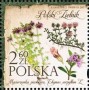 植物:欧洲:波兰:pl201704.jpg